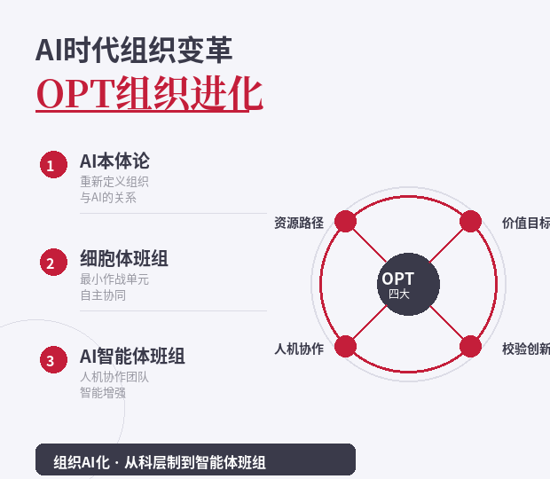 L3 AI+组织变革OPT晋级修炼